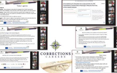 CCJ4C: BrainLog and the Danish Prison Union participated in peer review