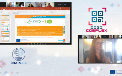 Online Meeting for the Erasmus + project DigiComplexity: Current Achievements and Planning Future Milestones!