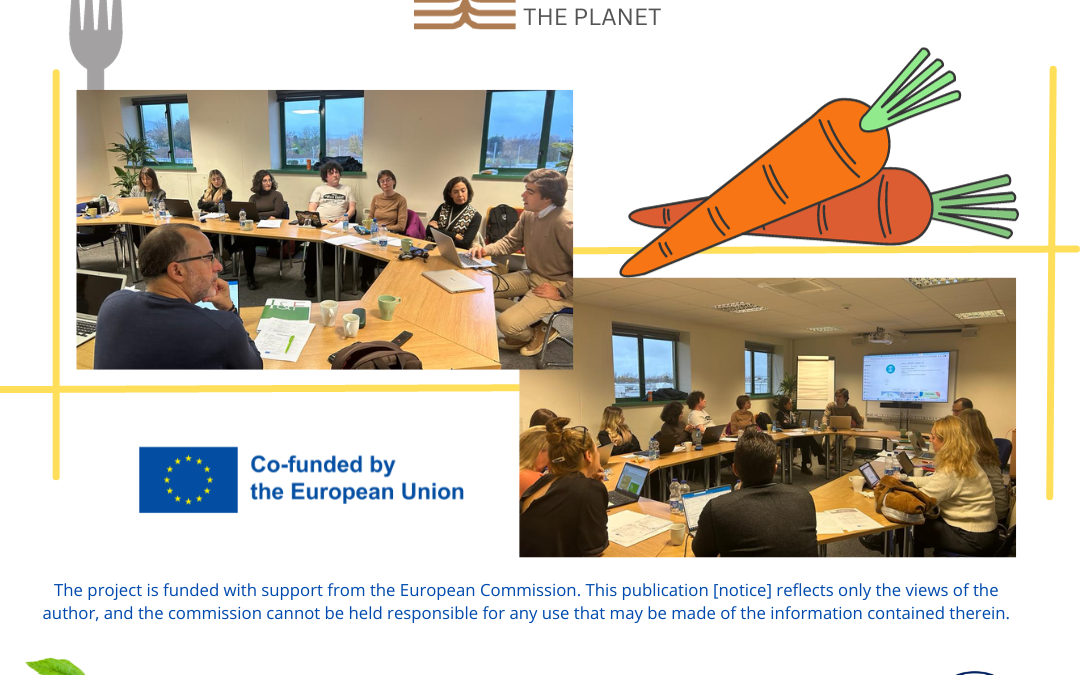 8 WAYS To Eat To Save The Planet  – Transnational Project Management Meetingin Dublin