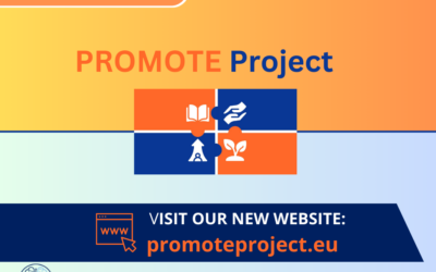 BIG ANNOUNCEMENT: The Promote Project Website is Now Live!