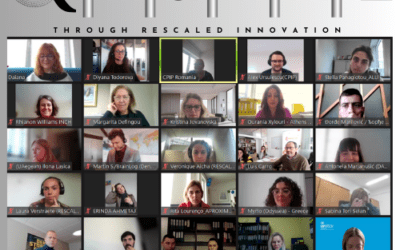 RESIZE Online Kick-Off—A New Journey Begins! 🌍🚀