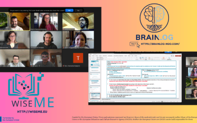 WiseMe Online Project Management Meeting in February 2025