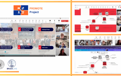 Mapping the Danish Justice Ecosystem with Promote Project Workshop