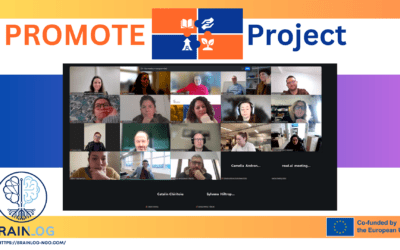 PROMOTE Online Project Management Meeting in December 2025