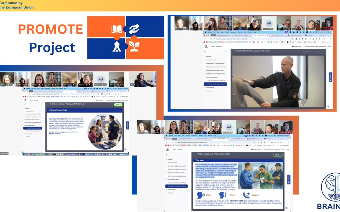 PROMOTE Online Meeting in March 2026