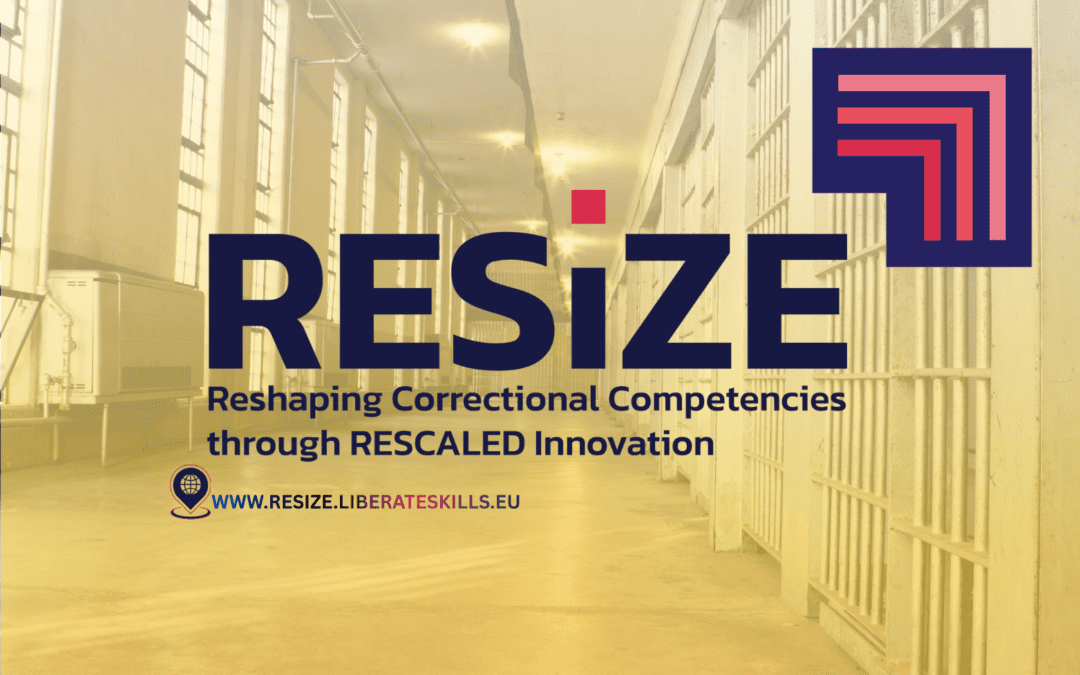 Strengthening Justice Systems Through Skills and Knowledge Sharing: The RESIZE Approach