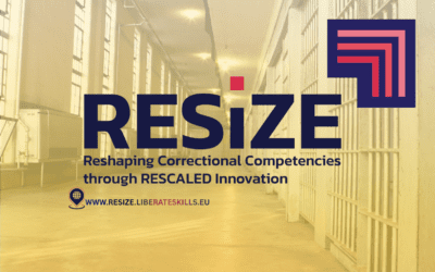 Strengthening Justice Systems Through Skills and Knowledge Sharing: The RESIZE Approach