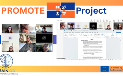 PROMOTE Project | Advancing Module Development